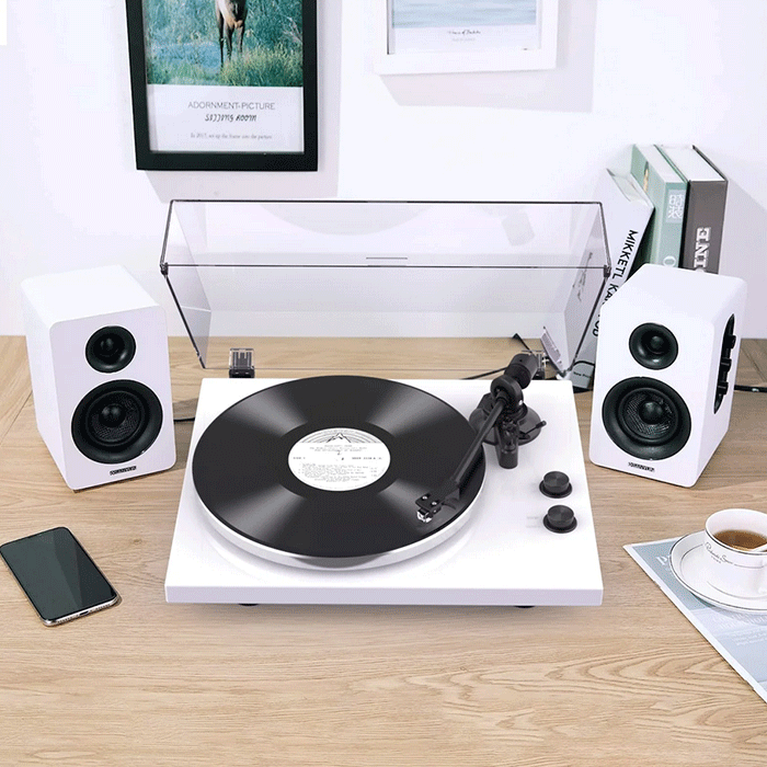 Sanyun speakers with vinyl player